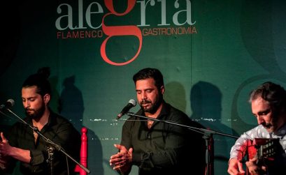 Opiniones sobre el espectáculo flamenco en Malaga de Alegría Flamenco y Gastronomía